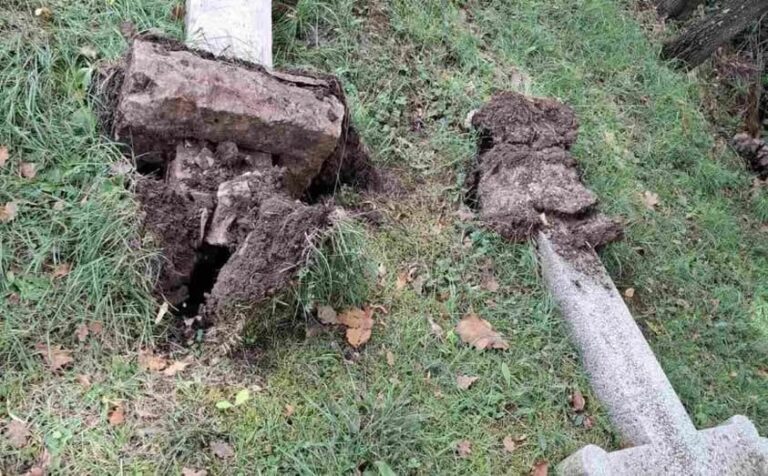 Reakcija stranke Snaga naroda na vandalski čin u Zenici