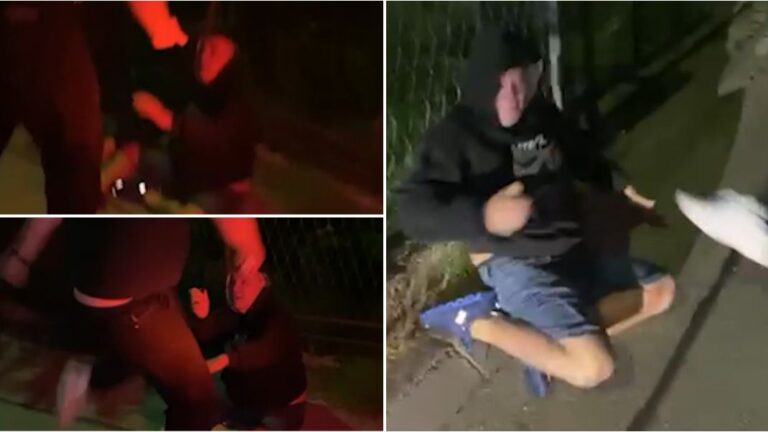 Pogledajte snimak kako “Panteri” tuku nepoznatog direktora