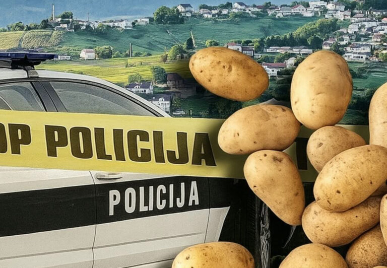 I OVO JE BIH: Snaha udarila svekra motikom zbog krompira