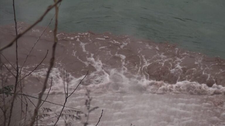 ZENICA: U rijeci Bosni pronađena veća količina uginule ribe