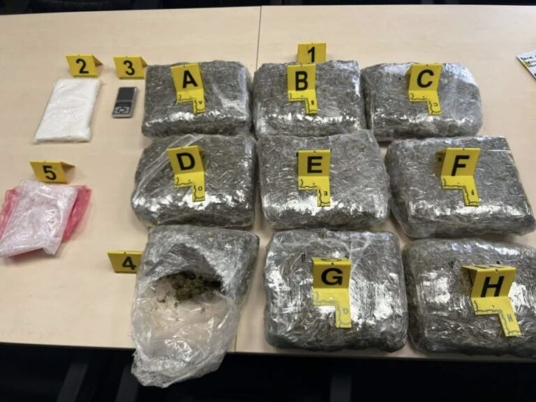 Spektakularna akcija MUP-a ZDK u Zenici: Zaplijenjeno više od 10 kilograma opojne droge, dileri pali! 