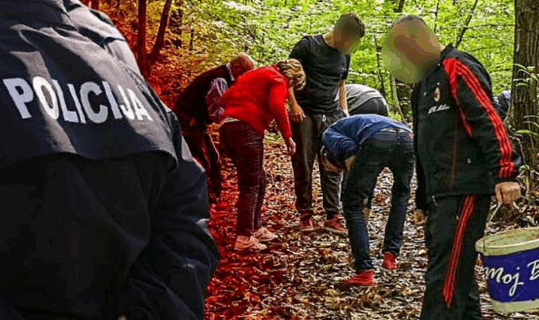 Drama u šumi u BiH: Muškarac i žena se sukobili zbog kestenja