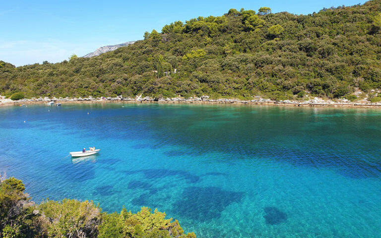 Bh. milioneri imaju novi “hit biznis” u koji ulažu ogroman novac