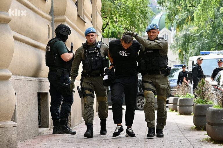 Detalj s ročišta: Tužilaštvo tvrdi da nisu pronađeni nikakvi dokazi da su se Panteri borili protiv pedofilije