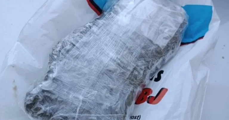 Dilerima iz BiH 13 godina robije: Kako su Osman, Adi i Dženis rasturali marihuanu, amfetamin i ekstazi?