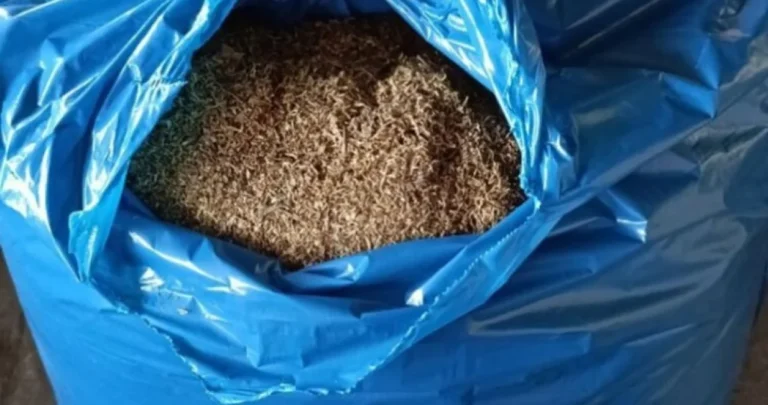 (FOTO) Pripadnici UIO BiH izveli akciju Market 2: Oduzeta robu “teška” 94.000 KM