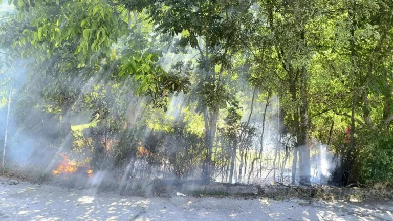 Gori nisko rastinje u Vogošći, vatrogasci ovih dana imaju pune ruke posla