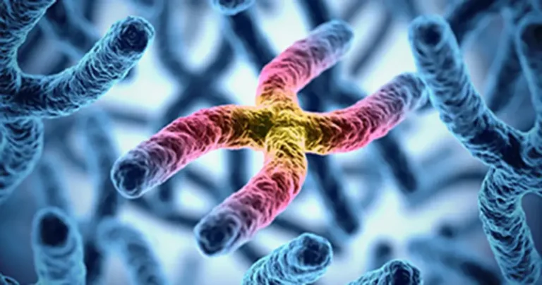 Veliki uspjeh medicine: Prvi put uspješno liječena jedna od najokrutnijih i najrazornijih bolesti