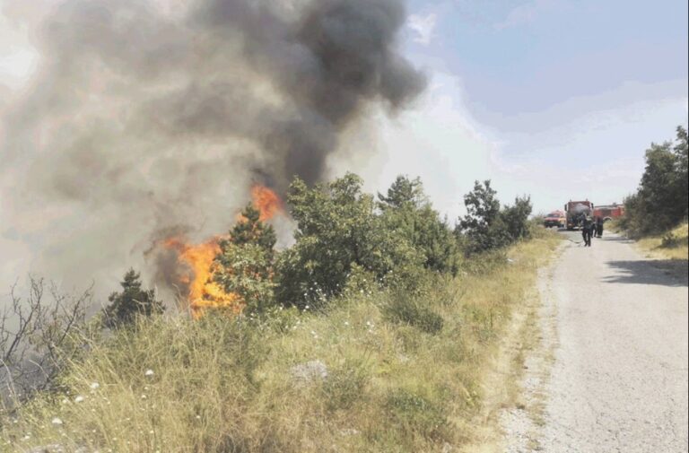 Rekordni požari poharali Evropu, teško stanje bilo i u BiH: U Hercegovini bilo gotovo 2.000 požara!