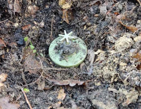 BiH se još uvijek suočava sa minama: U FBiH sumnjivo 650 kilometara kvadratnih, u RS 152