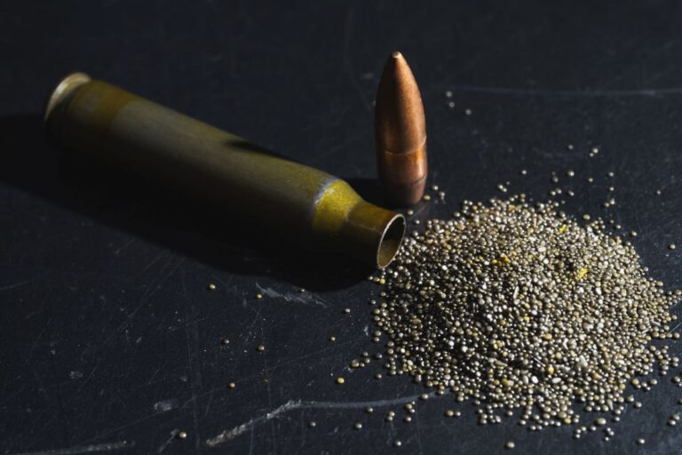 Može li Bosna i Hercegovina ponovo pokrenuti vlastitu proizvodnju baruta?