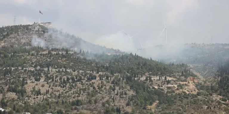 Mostar dobija novu šumu: Izviđači na Fortici sade 2.000 stabala