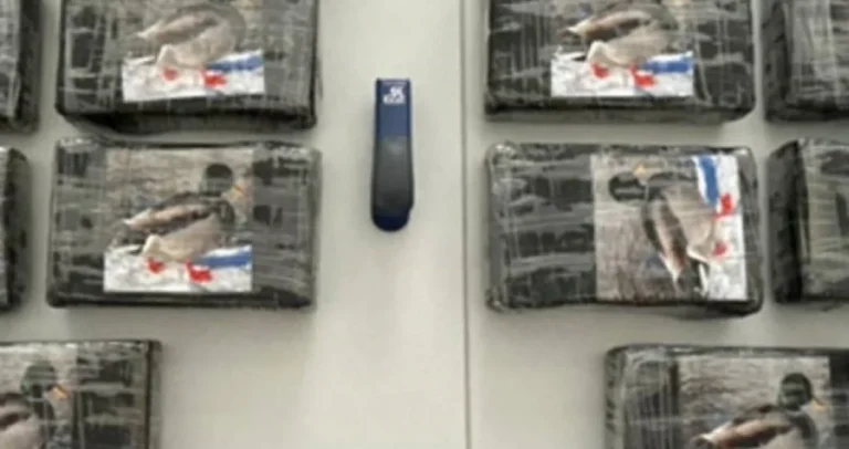 Munjevita akcija austrijskih Kobri: Bosanci “pali” sa kokainom vrijednim skoro dva miliona KM