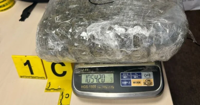 Munjevita akcija u BiH: Diler “štekao” drogu u stanovima, zaplijenjeno više od 10 kilograma droge