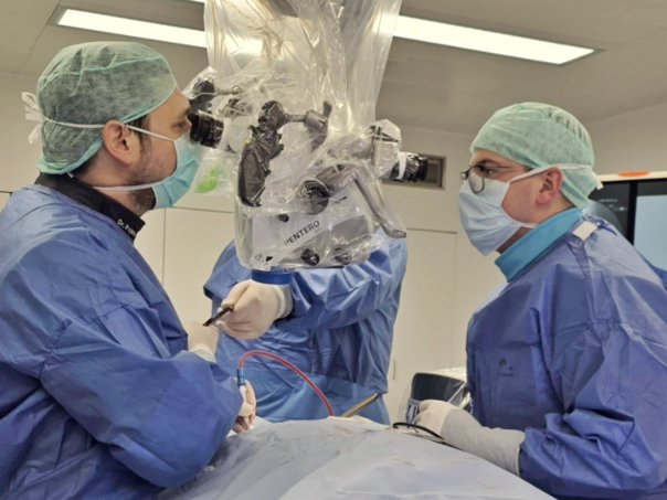 Od BiH do Njemačke: BHAAAS studentski program otvara nove mogućnosti