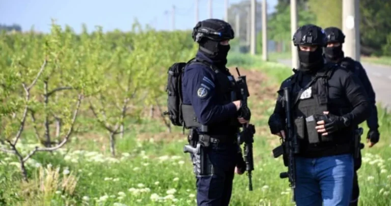 Pala grupa iz Srbije koja je ostavljala svinjske glave pred džamijama i sinagogama u Berlinu i Parizu