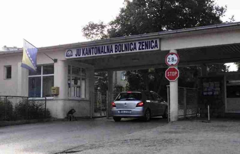 Pauk odnio auto dok je vozač dovezao onkološkog pacijenta u bolnicu