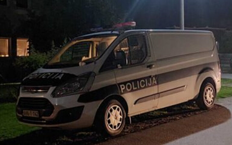 Potvrđena optužnica protiv Hajrudina (51) i Sevada (52) Husejnovića zbog napada na policajce