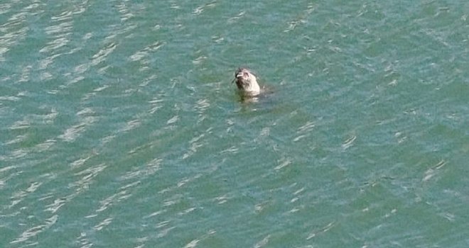 Prevara sa apartmanima u Neumu: Prljavština, buđ i blokirani gosti