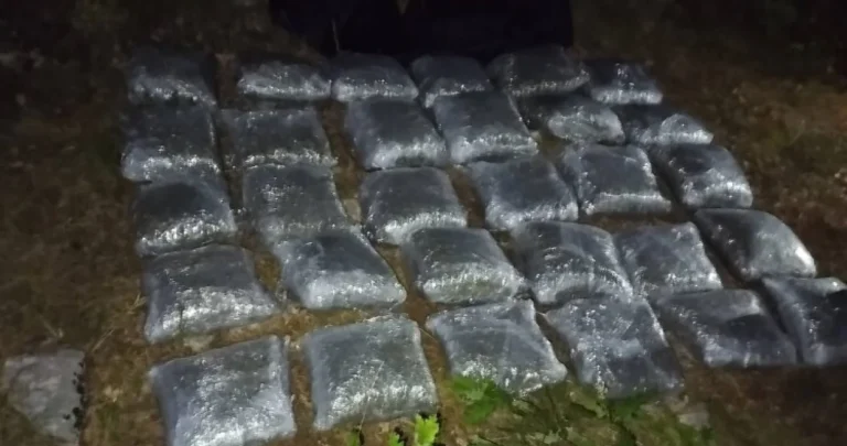 “Sky” raskrinkao 11 dilera: Kako su Branislav i saradnici zaradili više od dva i po miliona KM?