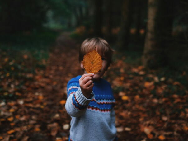 Slovenija uvodi terapiju šumom u obrazovni sistem