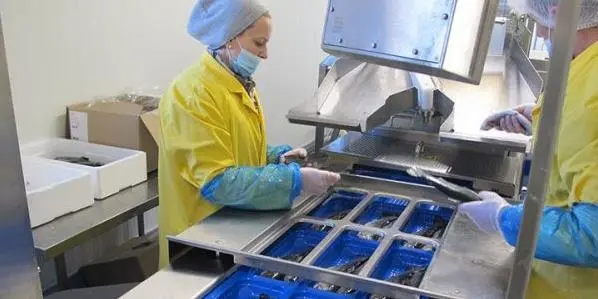 Traže se veće kvote za izvoz pastrmke u EU: Sa 500 na 3.000 tona