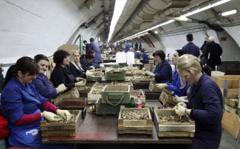 Umjesto Srbije, BiH može pokrenuti vlastitu proizvodnju baruta i osigurati opskrbu Igmana