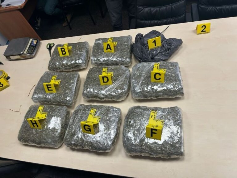 U jakoj i energičnoj akciji policijskih timova Uprave policije MUP-a ZDK zaplijenjeno više od 10 kg opojne droge