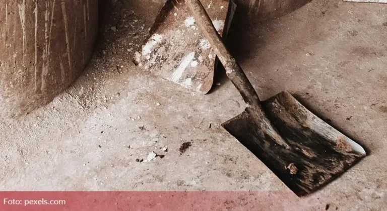 Ubio komšinicu, zakopao tijelo pa posadio cvijeće: Jeziv zločin otkriven preko gugl mapa