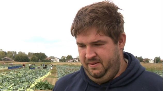 Mladom rataru lopovi tokom noći ukrali pet tona paprika