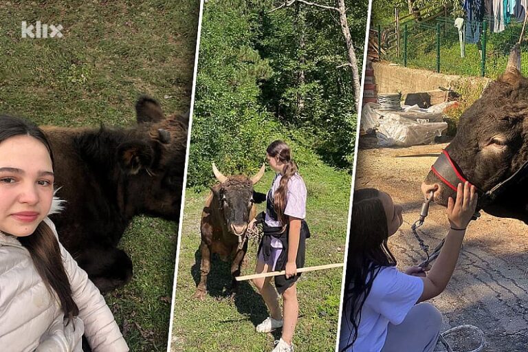 Amina Bjelić, 14-godišnja trenerica bikova koja ruši predrasude: Ljubav prema ovom poslu nema spol