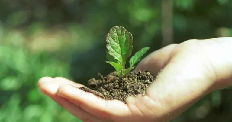 EU4Green otvara Konkurs za zeleno novinarstvo na Zapadnom Balkanu