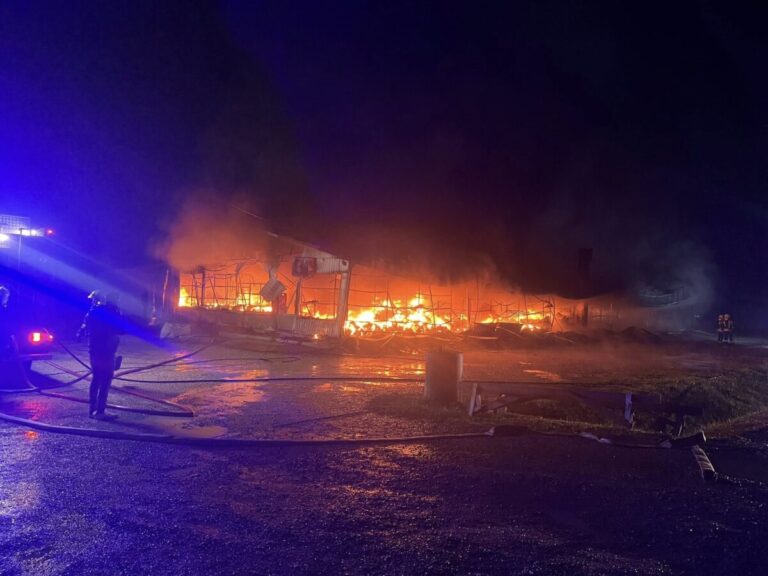 Gori pijaca “Arizona” kod Brčkog