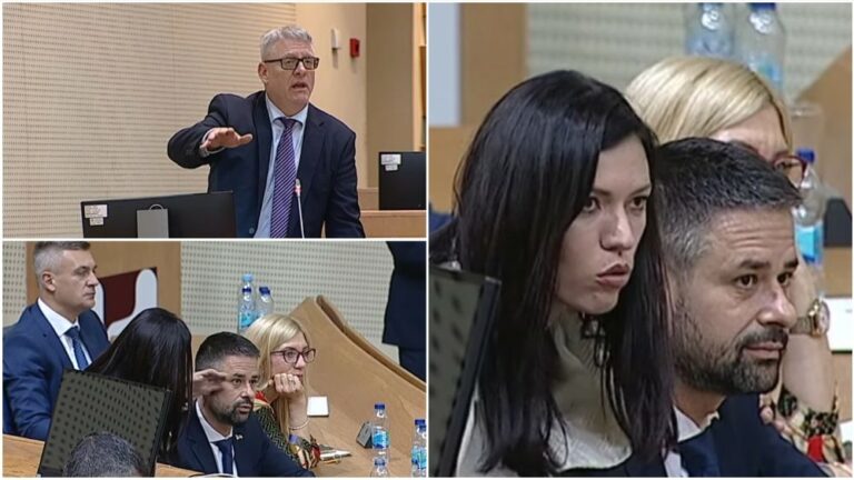 Gradonačelnik Bijeljine: Šimpanze u Zoološkom vrtu imaju više stida od SNSD-ovaca