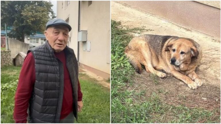 Halidov vozač Vlado: Njegov pas nakon smrti ništa ne jede niti pije, Sejda je kući, primila je kemoterapiju