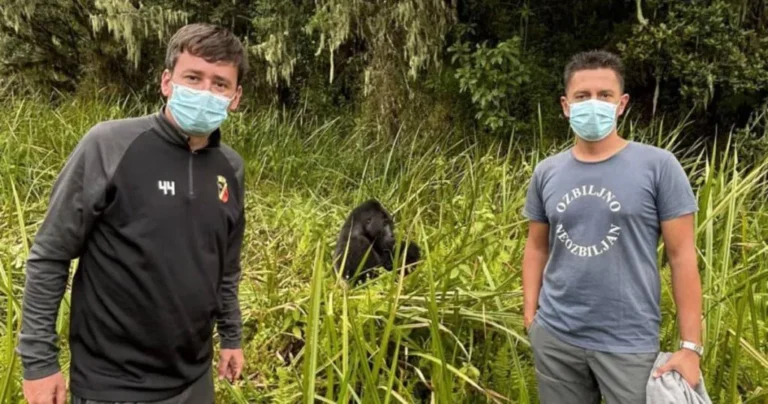 Visočaci oslobođeni nakon 50 dana zatočeništva u Maliju, na putu su prema BiH