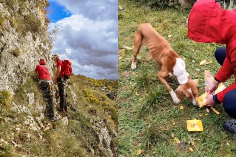 Veliki gest humanosti GSS-a: Spasili psa zaglavljenog na stijenama