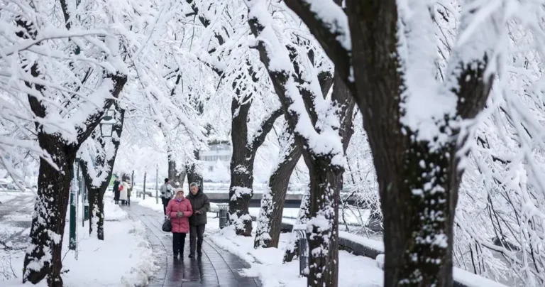 Najavljena je zima stoljeća, evo što kažu stručnjaci