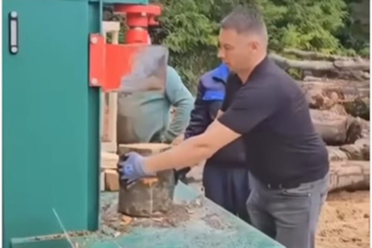 Nešić opet “na terenu”: Nakon kose i motorne pile, sada cijepa drva