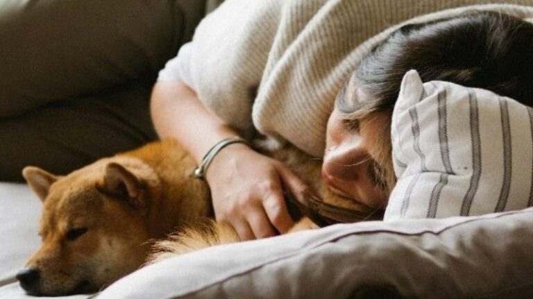 Pas voli spavati uz vas: Ovo je pravi razlog koji će vam istopiti srce