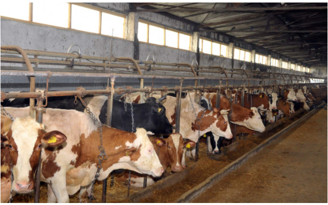 Poljoprivrednici iz Unsko-sanskog kantona traže dodatnu podršku zbog inflacije