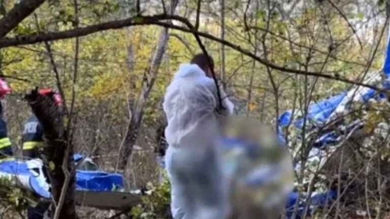 U stravičnoj nesreći poginuo balkanski milioner: Spasioci izvlače tijelo, avion ostao u drveću