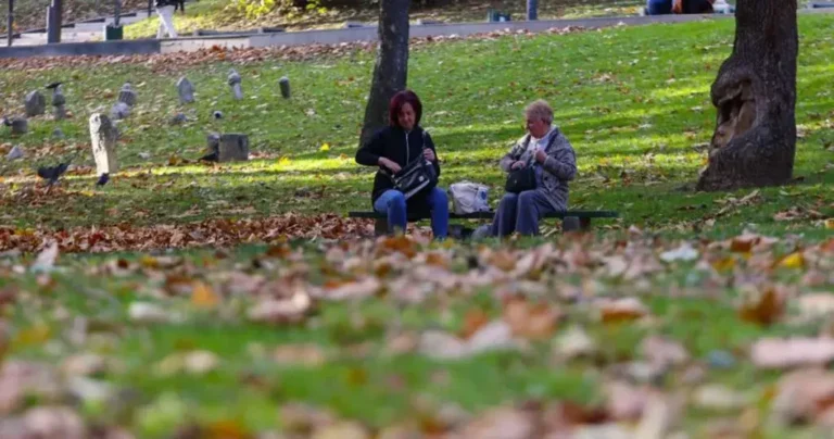 Stiže Miholjsko ljeto a s njim i topliji dani, temperature će opet ići preko 20 stepeni