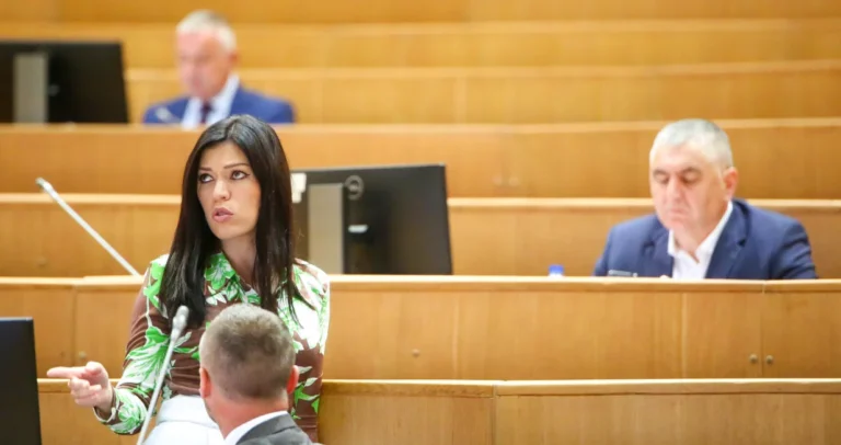 Vulić “planula” zbog zastupnika iz reda bošnjačkog naroda – “Ništa vam ne valja, šta hoćete?”