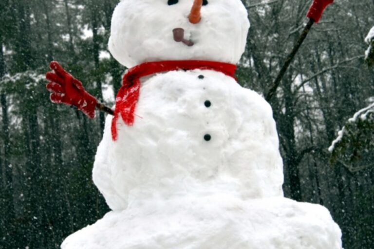 53-godišnjakinja djeci prijetila i pucala u zrak jer su srušila snješka