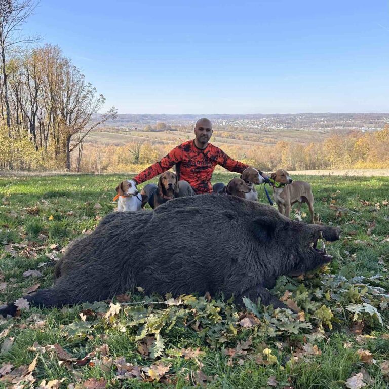 Kapitalni ulov u BiH: Lovac odstrijelio grdosiju tešku 224 kg