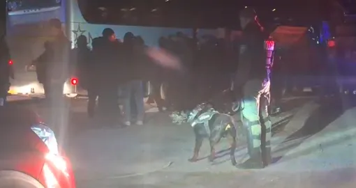 TAKO SE TO RADI U ZENICI: Rumunski navijači će zauvijek pamtiti ono što im je policija uradila na ulasku u grad