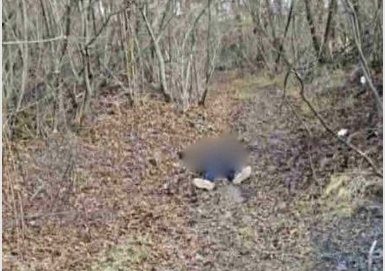 Evo kako je završio Matija Gurdeljević nakon pljačke u Kalesiji: Rođeni brat i ekipa bacili tijelo u šumu