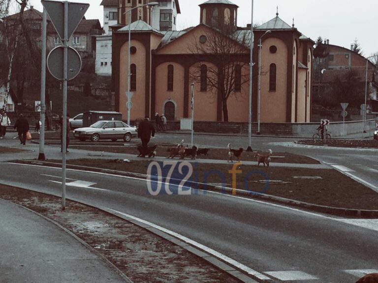 Dječaka u Blatuši napao pas lutalica: “Djeca svakodnevno prolaze tuda, a niko ništa ne poduzima”