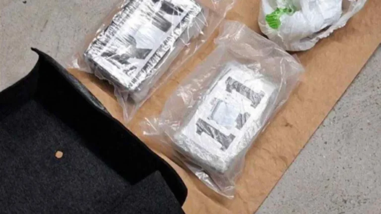 Akcija na granici: Zaplijenjeno 3 kilograma kokaina koja su trebala biti prebačena u BiH